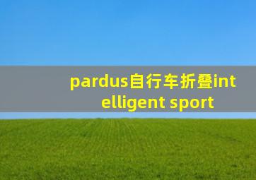 pardus自行车折叠intelligent sport